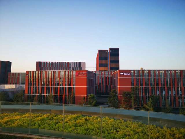 东莞市纤维棉专业生产