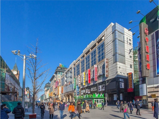 种植西红柿用木醋液哪个牌子好