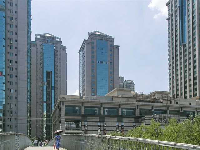 辽宁中麦29小麦种子哪里有卖