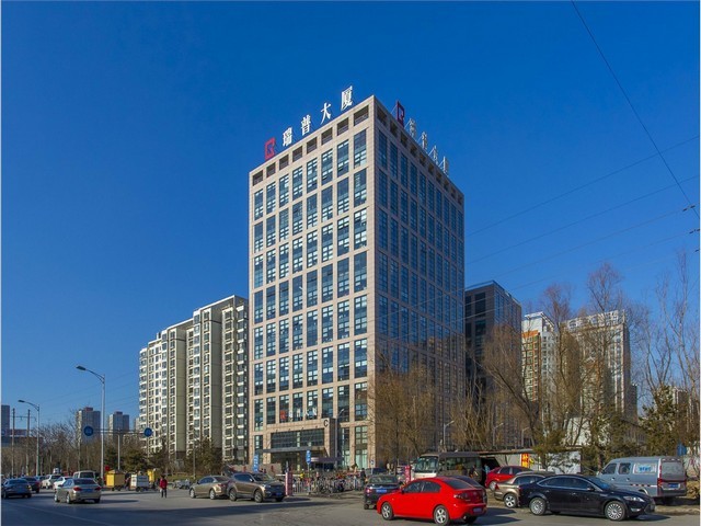 雾森系统团队服务