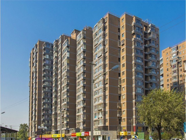 松江区口碑好日本留学高性价比的选择