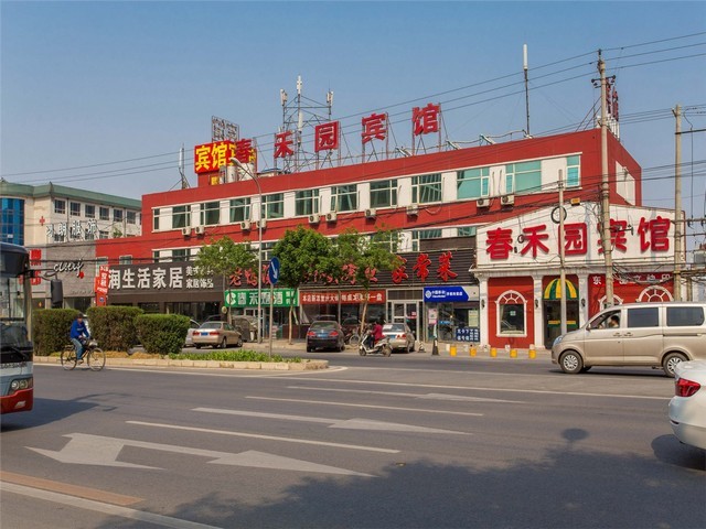 三门县大型绿植租摆